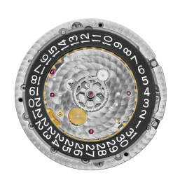 芝柏售后维修地址者（芝柏无法上链）